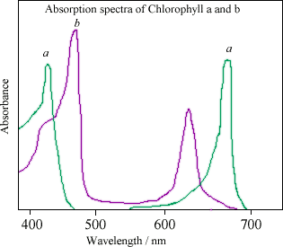 webexhibits.orgAbsorption spectra showing how webexhibits.orgAbsorption spectra showing how