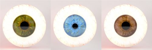 Animal Eye Reflection Color Chart