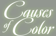 Causes of Color