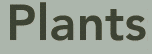 Plants