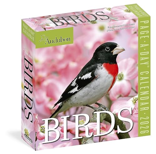 Audubon Birds Page-A-Day Calendar 2026