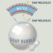 What's the Science Behind Bubbles?