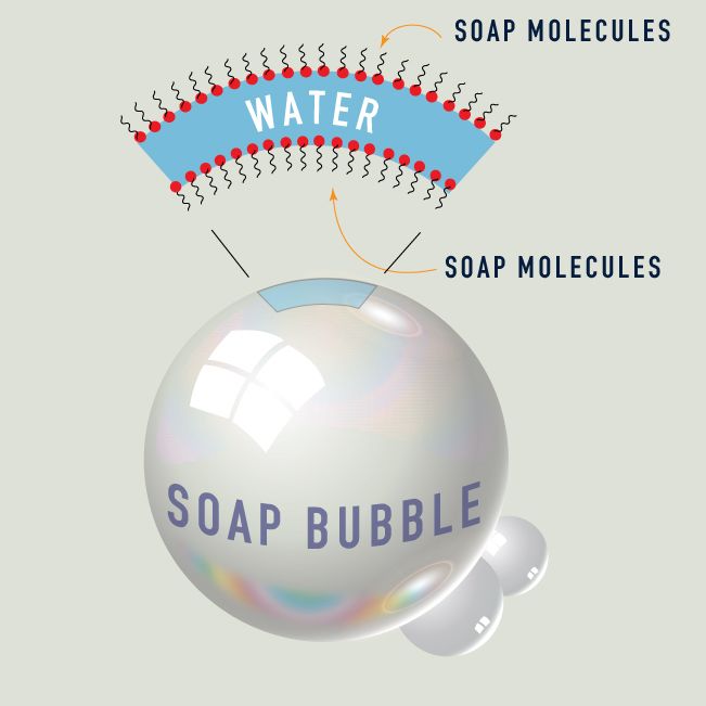 What is a Bubble?