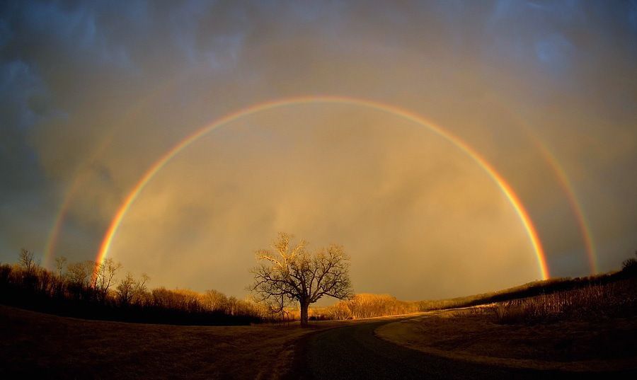 What Does a Rainbow Look Like?