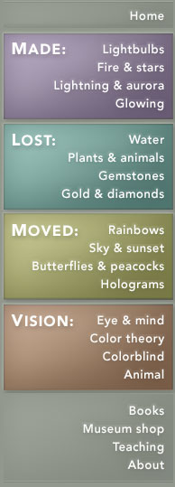 Butterflies  Causes of Color